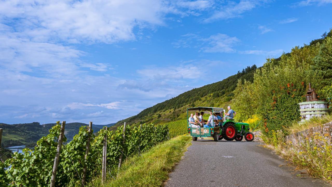 Bed and Breakfast Ferienweingut Hirschen Schulstrasse Burg  Екстер'єр фото