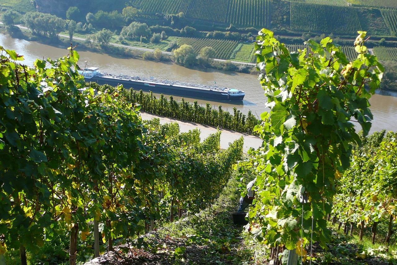 Bed and Breakfast Ferienweingut Hirschen Schulstrasse Burg  Екстер'єр фото